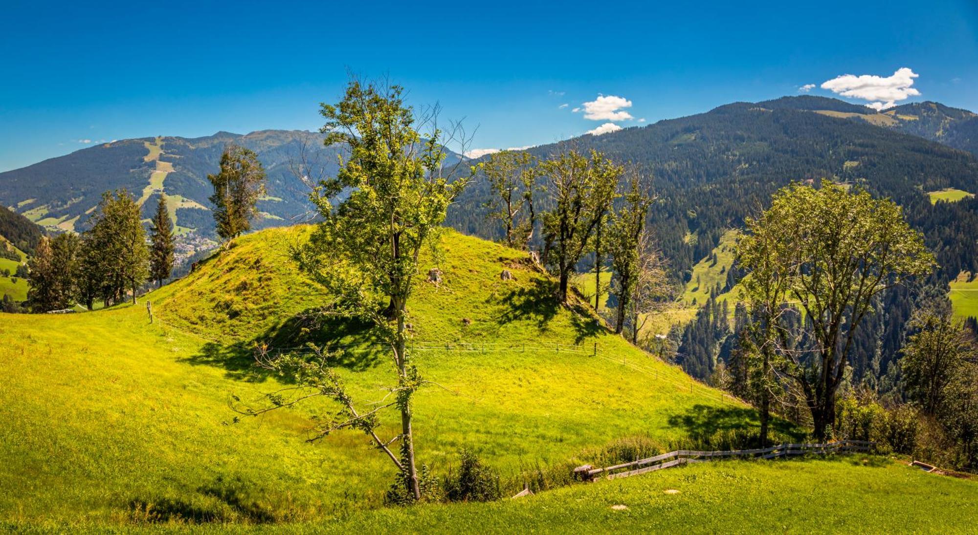 Вилла Haus Lindbichl Санкт-Йохан Номер фото